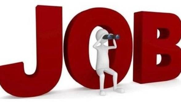 Doar opt posturi pentru șomerii sibieni cu studii superioare