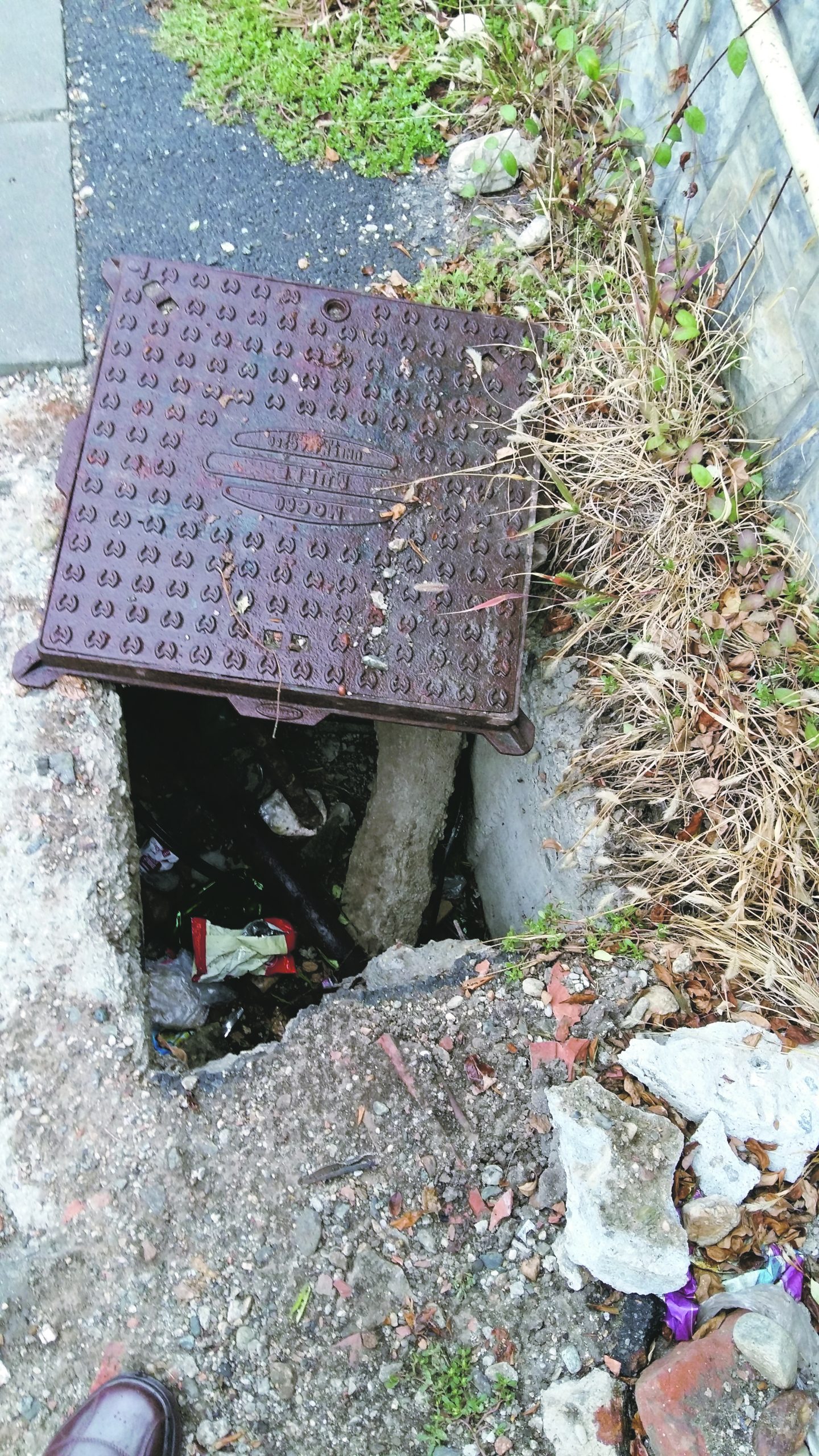 Semnalul săptămânii