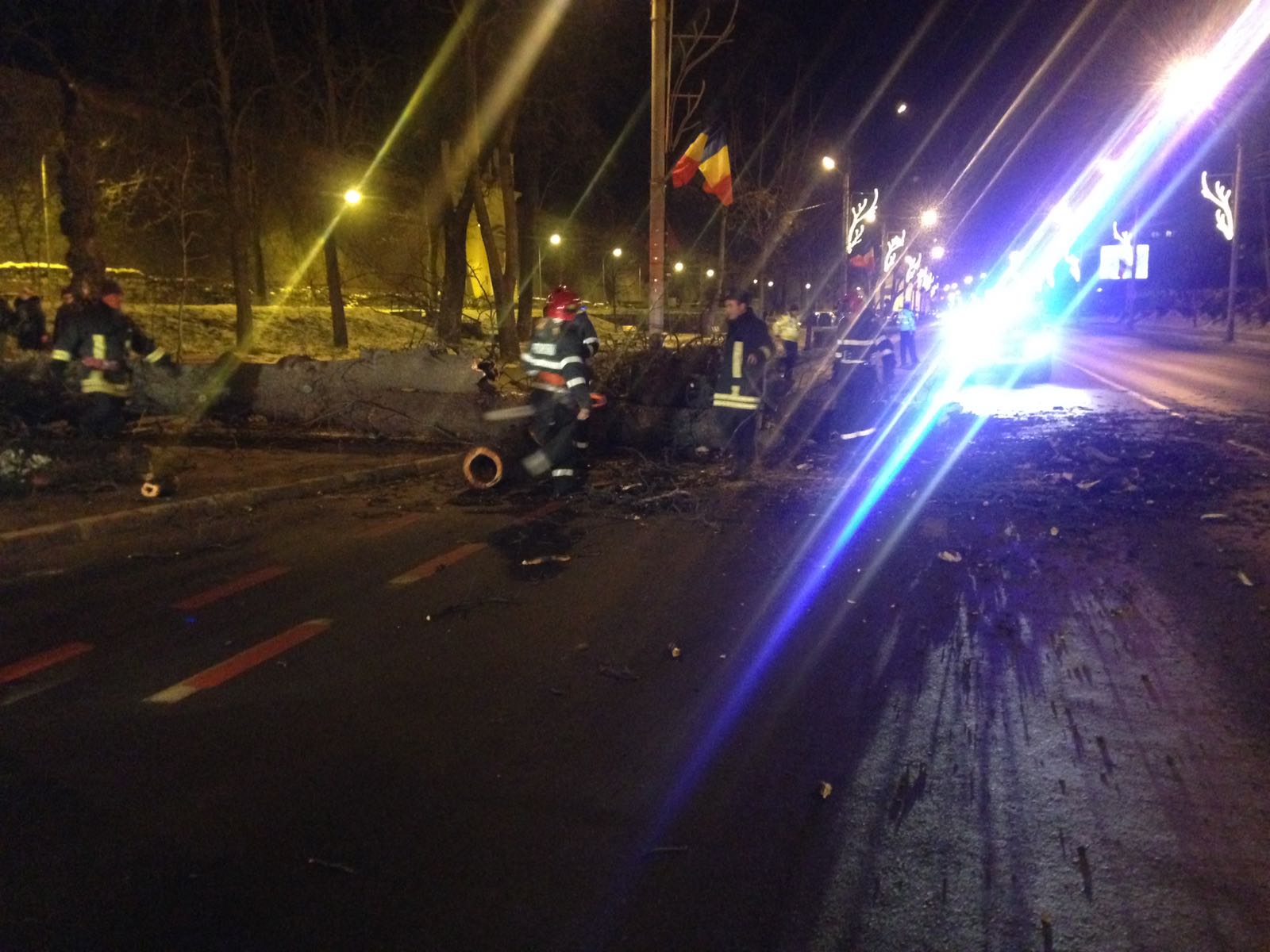 UPDATE: Trafic blocat pe Bulevardul Coposu, un copac a căzut în drum