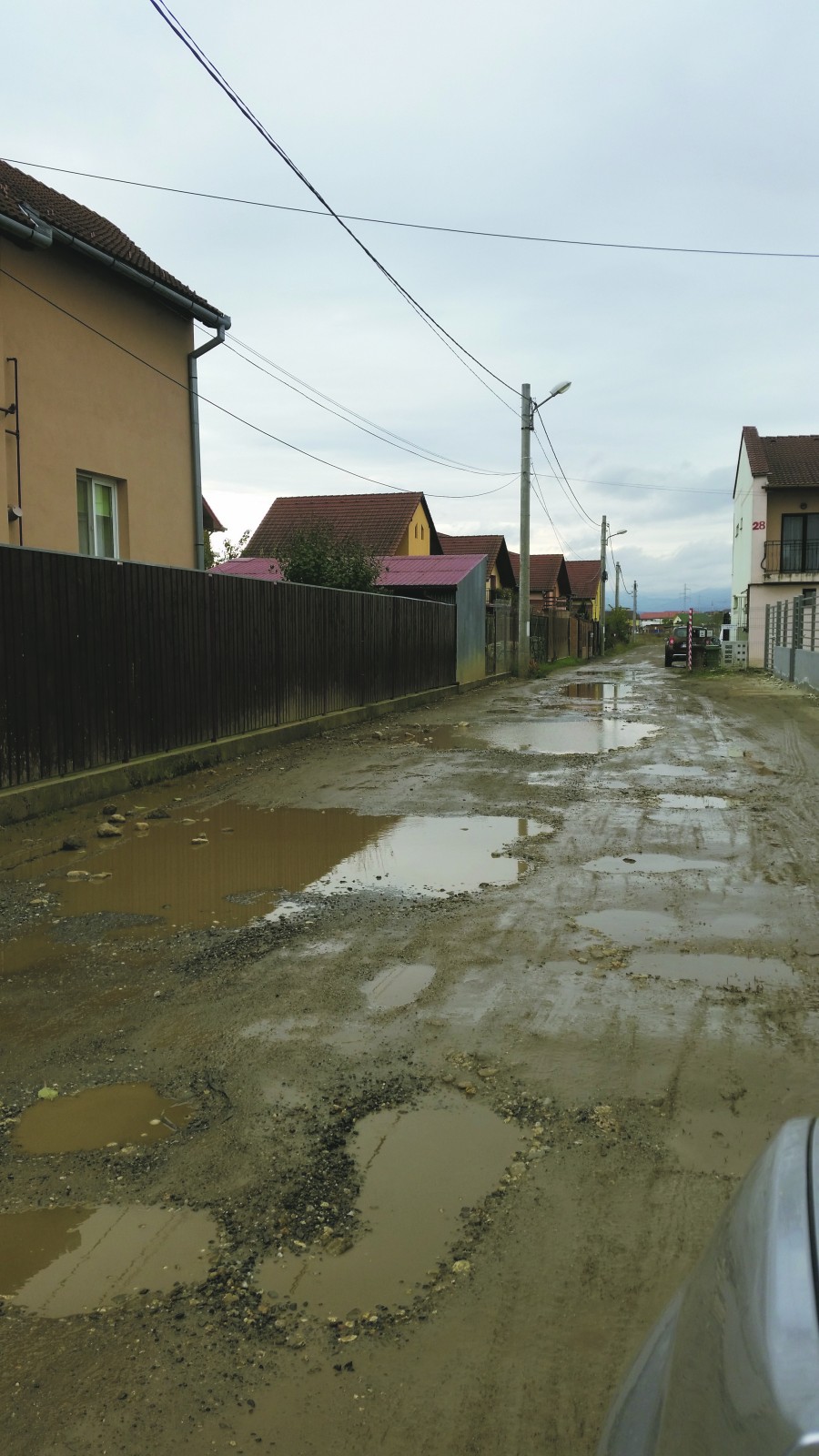 Semnalul săptămânii