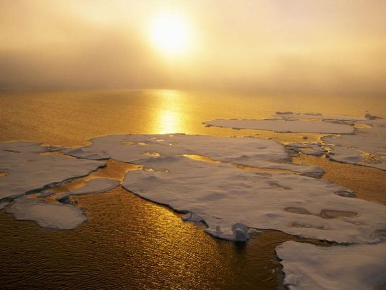 Temperaturile globale au crescut la niveluri-record în 2016