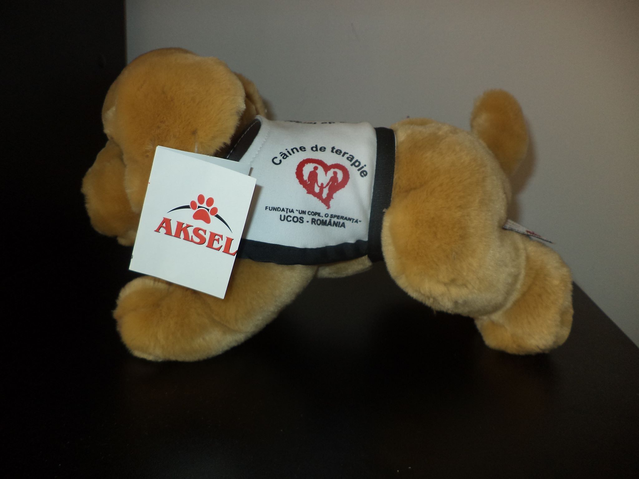 Aksel, mascota Fundației „Un copil, O speranță” abia așteaptă să ajute!