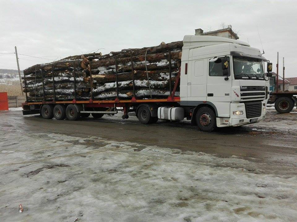 Amendă uriaşă pentru transport ilegal de lemn