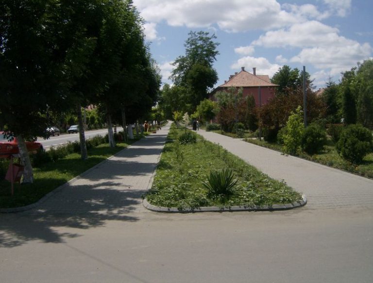 Datorii de aproape jumătate de milion de euro la apă