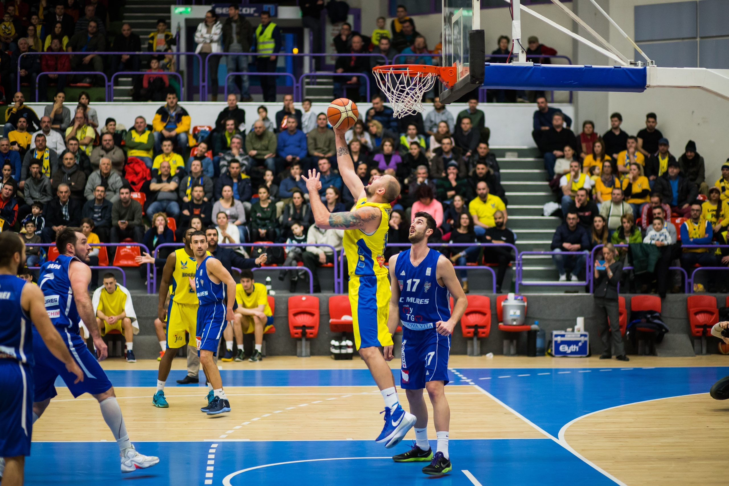 „Vulturii” lui Dan Fleşeriu s-au calificat în playoff!