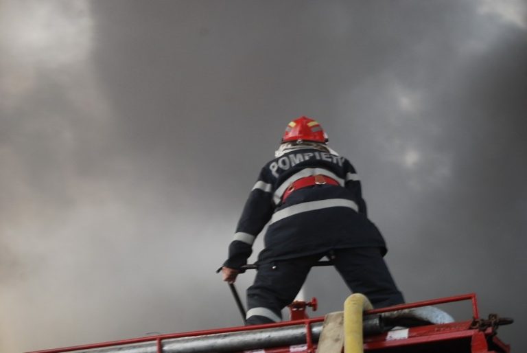 Doua garaje din lemn si un cotet cu 16 gaini, au ars in totalitate