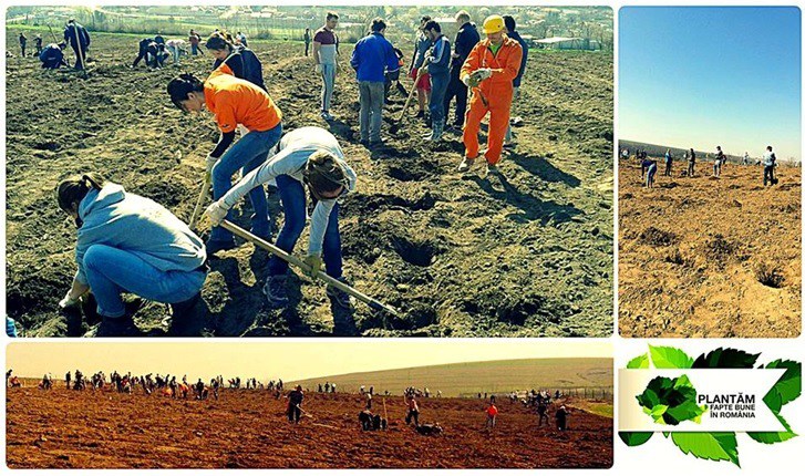 Voluntari pentru plantarea a un milion de copaci