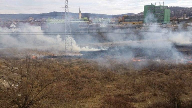 Avertizare de la Primărie: Amenda ajunge la 2.500 de lei
