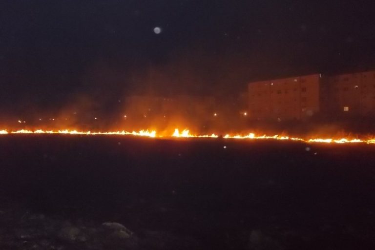 „Potop” de incendii de vegetație în județ