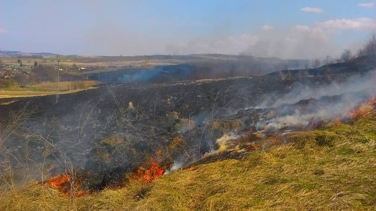 Șapte hectare de vegetație au ars, la Avrig