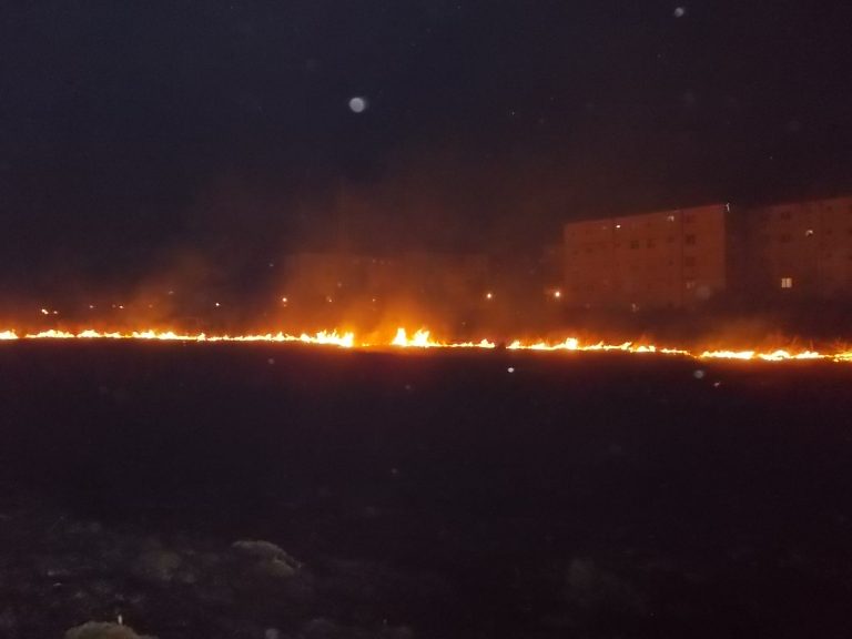 Aproape 100 de hectare de vegetație și păduri au ars în primele zile din aprilie