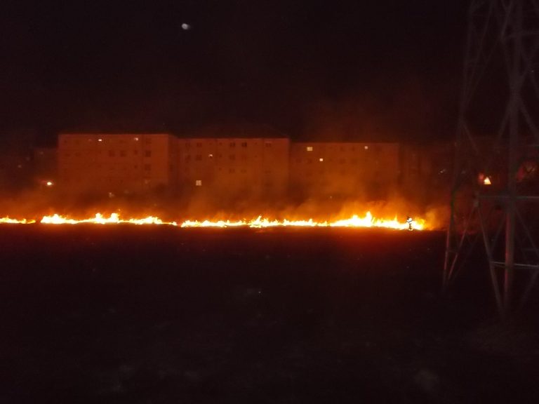 GALERIE FOTO – Incendiu la vegetația uscată