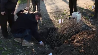 VIDEO: Preşedintele a plantat un puiet de stejar de Ziua Naţională a Pădurii