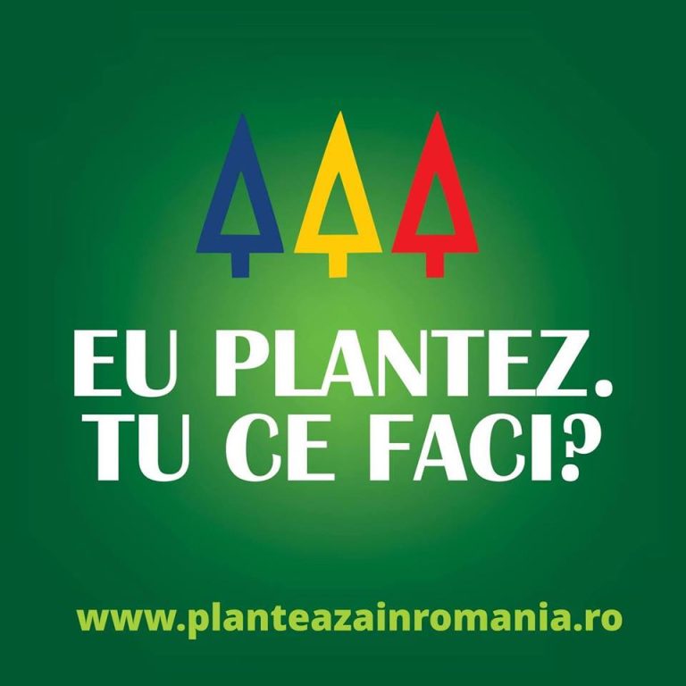 Locuitorii din Turnu Roșu, invitați la plantări de copaci