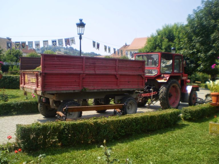 Vreți arbori și arbuști toaletați? Faceți cerere!