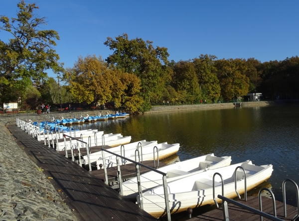 Se concesioneaza lacul de la Zoo