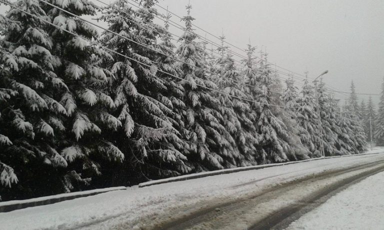 Cod portocaliu de ninsori în 15 judeţe, cod galben de ploi şi vânt în restul ţării