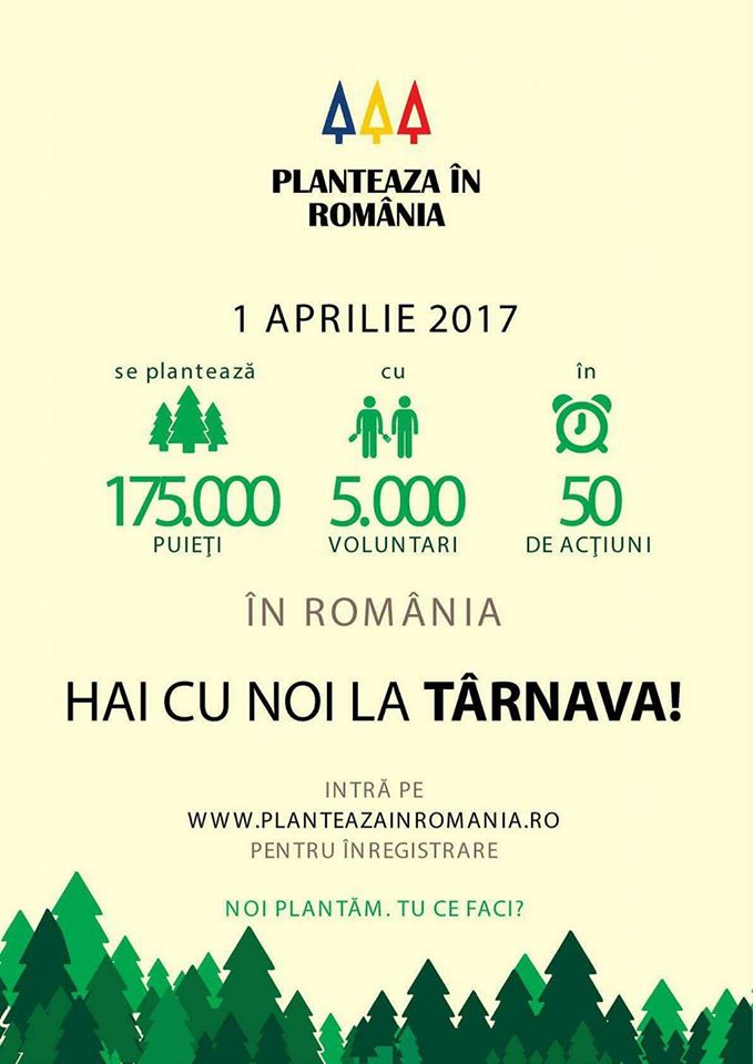 Locuitorii din Tîrnava, invitați de primărie să planteze un copac
