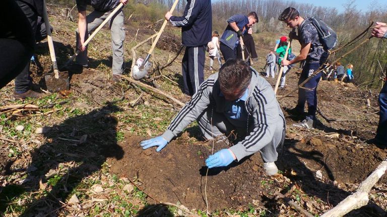 GALERIE FOTO – Sute de persoane, la cea mai mare acțiune de plantare din ultimii ani