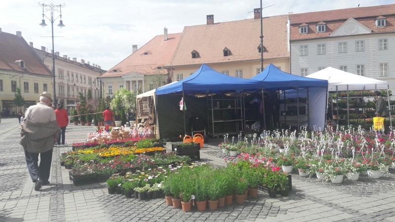 Festivalul Grădinilor – ultima zi de culoare și parfum la Sibiu