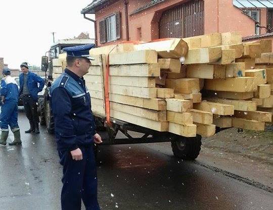 Remorcă cu lemne confiscată de poliţişti la Gura Râului