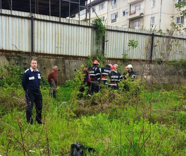 GALERIE FOTO – Cățeluș salvat în ultimul moment