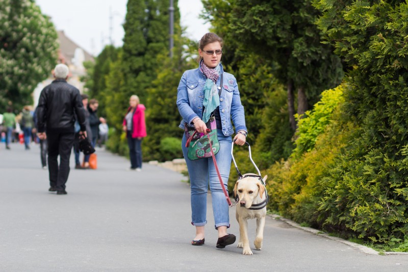 Larisa, o tânără nevăzătoare din Sibiu:  Îmi doresc să fiu utilă societății și să îi pot sprijini și pe alții