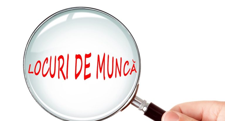 Peste 1.000 de joburi pentru șomerii sibieni