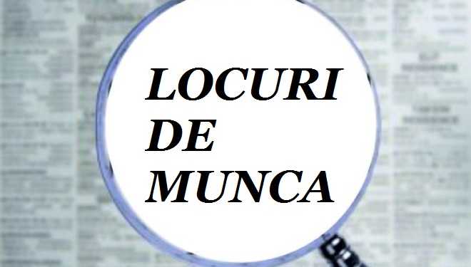 Mai multe locuri de muncă în primul trimestru din 2017. Domeniile în care se găsesc cele mai multe posturi vacante