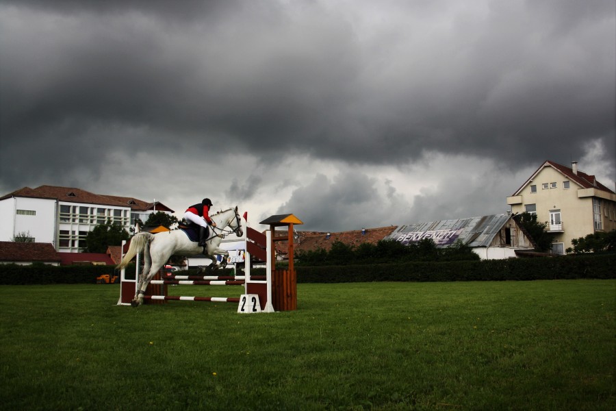 [FOTO] Cei mai buni jockey din țară se întrec la Sibiu