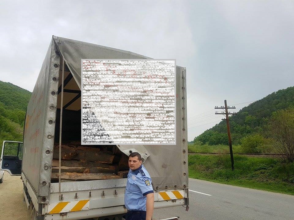 Amendă de 10.000 de lei pentru transport ilegal de lemn