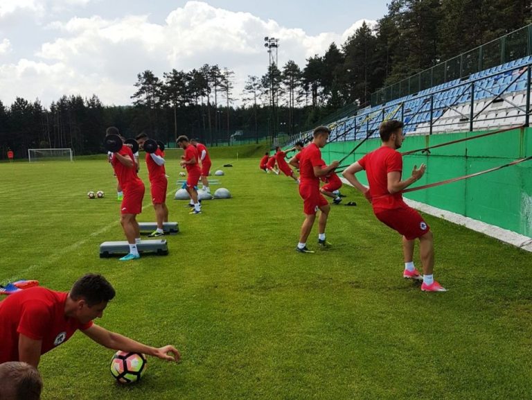 Gaz Metan dispută, miercuri, primul amical din Serbia