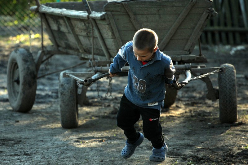 6 sesizari de exploatare prin munca a copiilor, de la inceputul anului