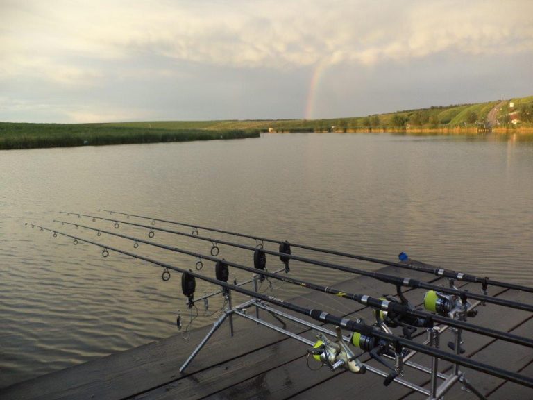 Minor prins în timp ce pescuia ilegal. Acesta avea peste 170 de kilograme de pește