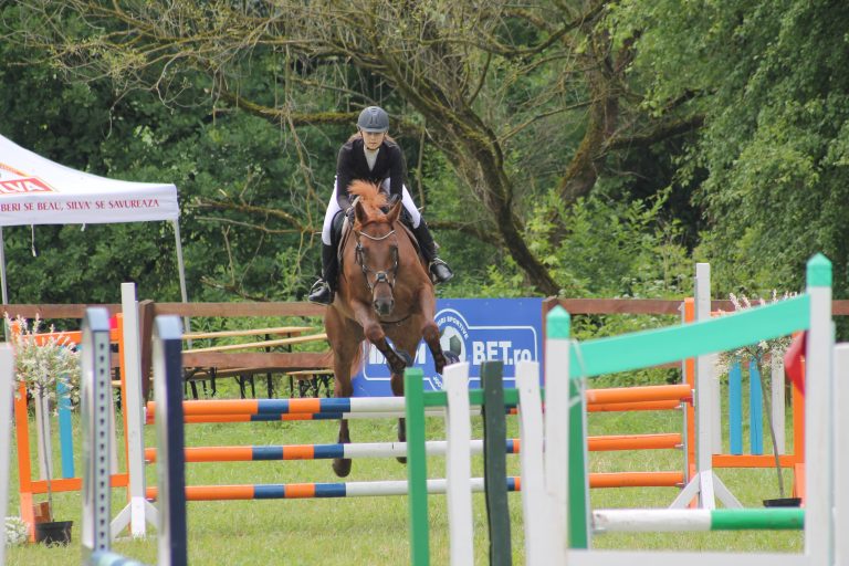 Începe a 7-a ediție Transylvania Horse Show