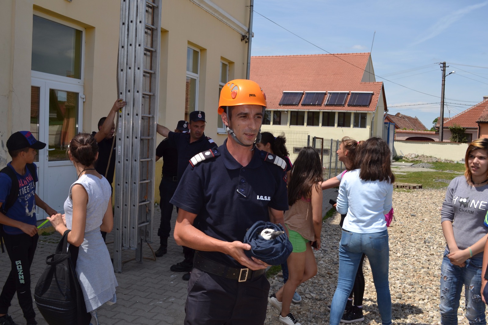 UPDATE-VIDEO: Pompierii intervin pentru a salva un pui de barză căzut într-un scoc