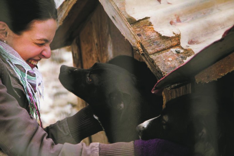 Animal LIfe: Despre ONG-uri, voluntariate și nevoia să ajutăm