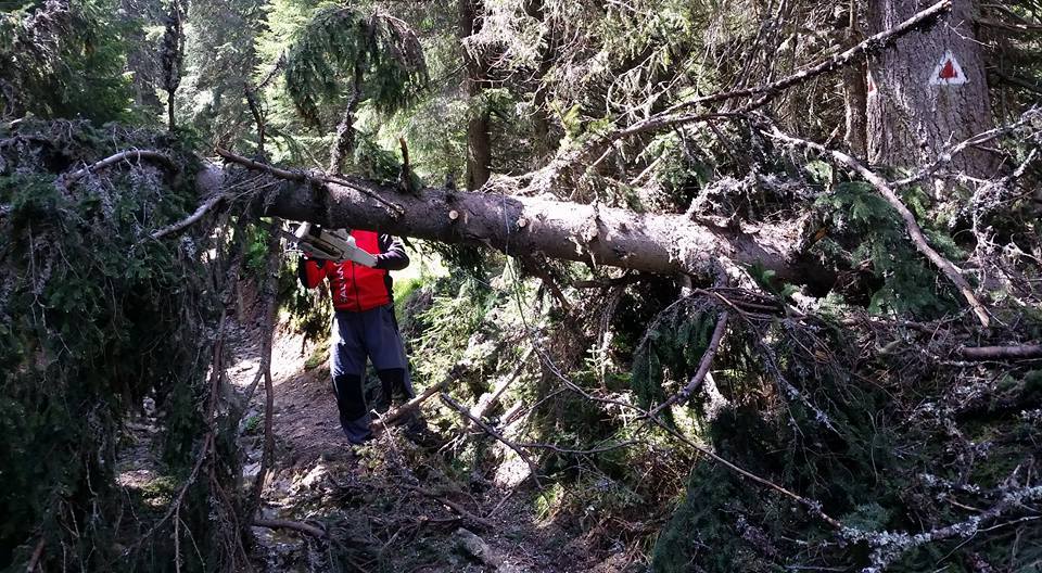 FOTO: Salvamontiştii au curăţat poteca dintre Păltiniş şi Lacul Negovanu