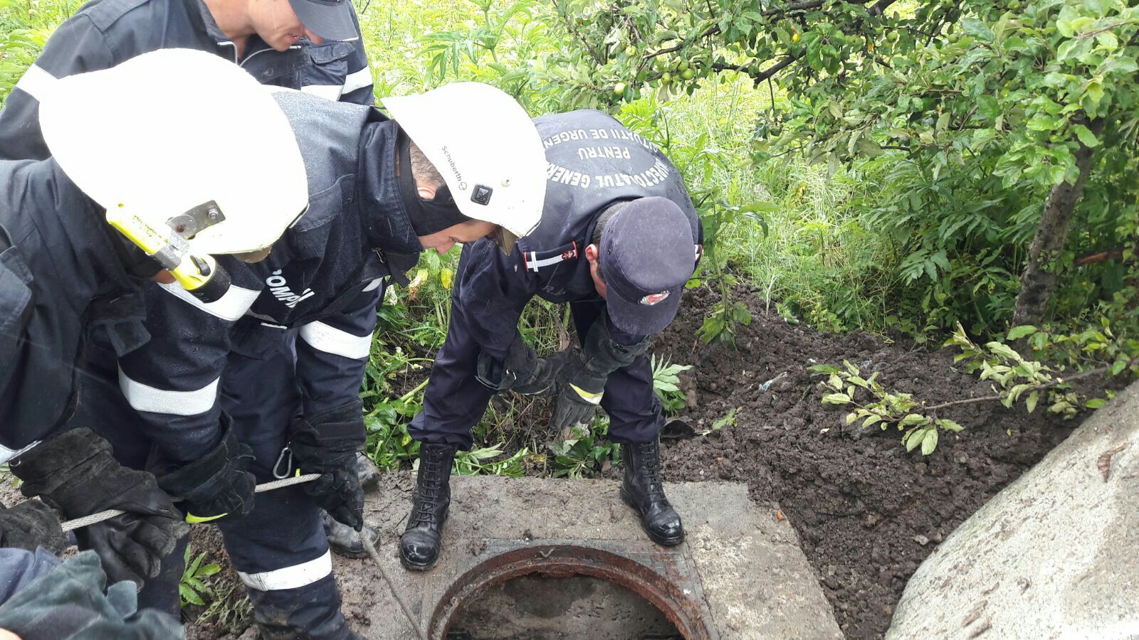 FOTO: Pompierii au salvat un viţel căzut într-un canal de apă pluvială