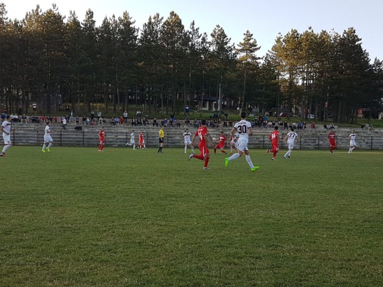 Gaz Metan a pierdut ultimul amical din Serbia