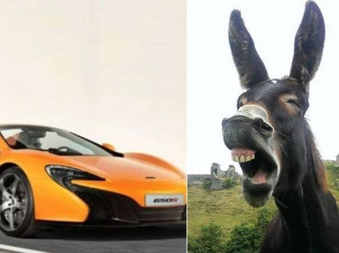 Proprietarul unui magar, obligat de instanta sa plateasca 5800 € dupa ce animalul a mancat vopseaua de pe un McLaren