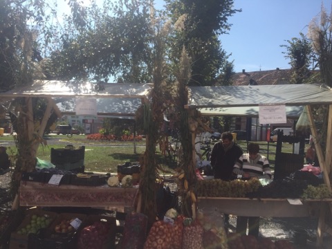 GALERIE FOTO – Două zile de petrecere la Dumbrăveni, la Ziua Fermierului și Festivalul Toamnei