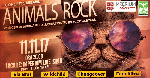 Rock pentru pisici. Concert caritabil în Sibiu