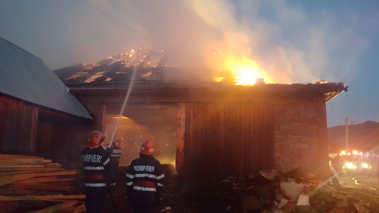 FOTO: Incendiu la un gater din Gura Râului