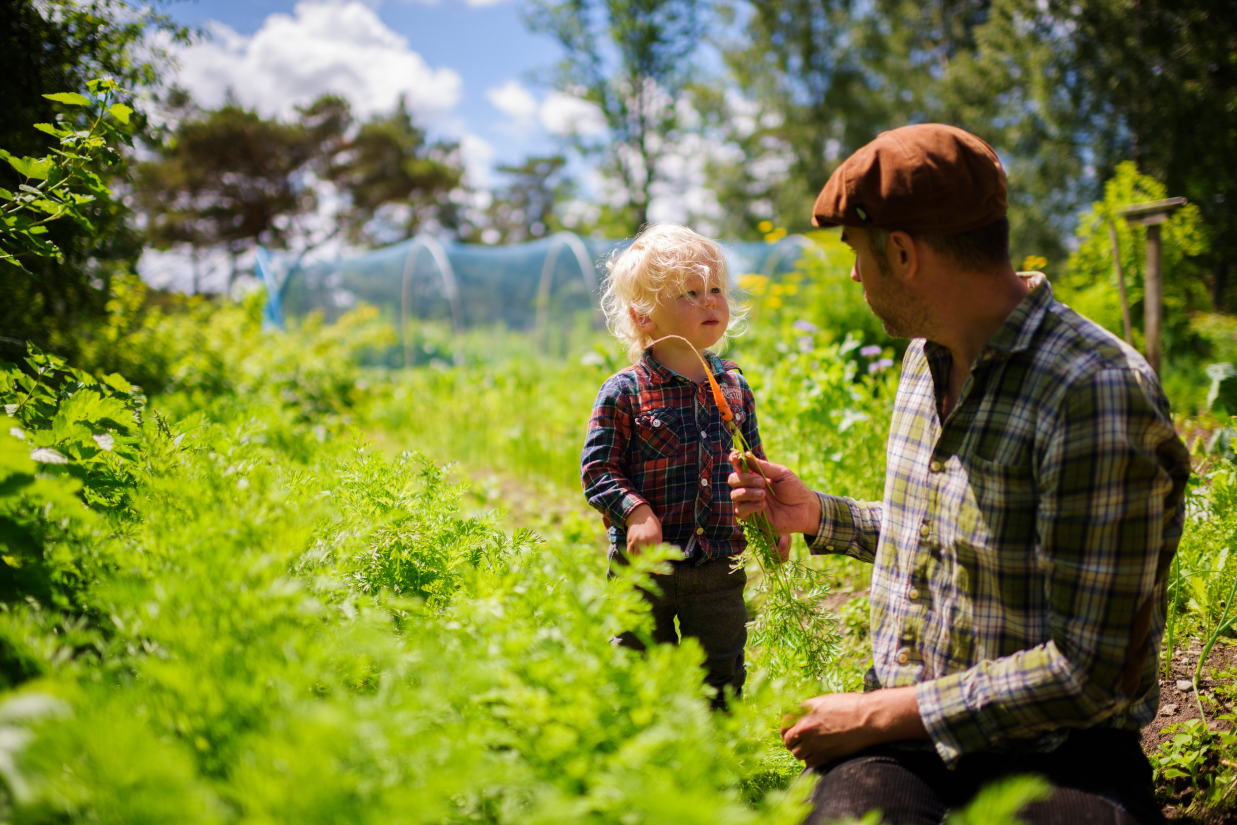 Swedish Dads Sibiu – o expoziție despre tati