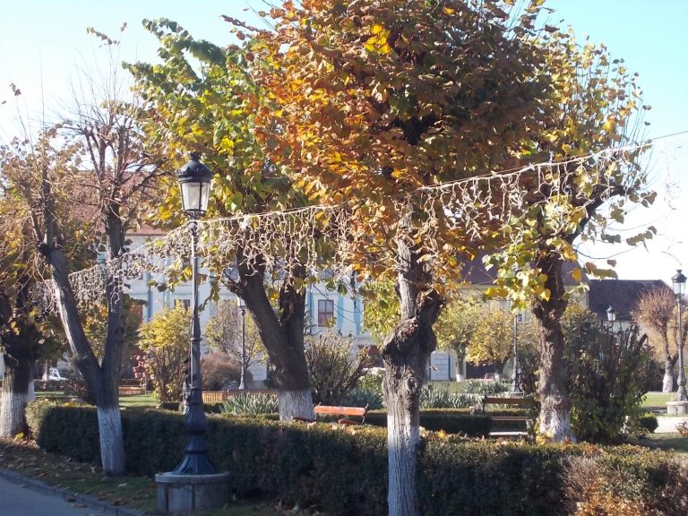 GALERIE FOTO – A început împodobirea orașului pentru Sărbătorile de Iarnă