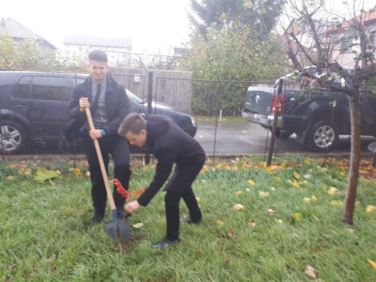 FOTO – Brazi și oțetari roșii, plantați de elevii Liceului „Axente Sever”
