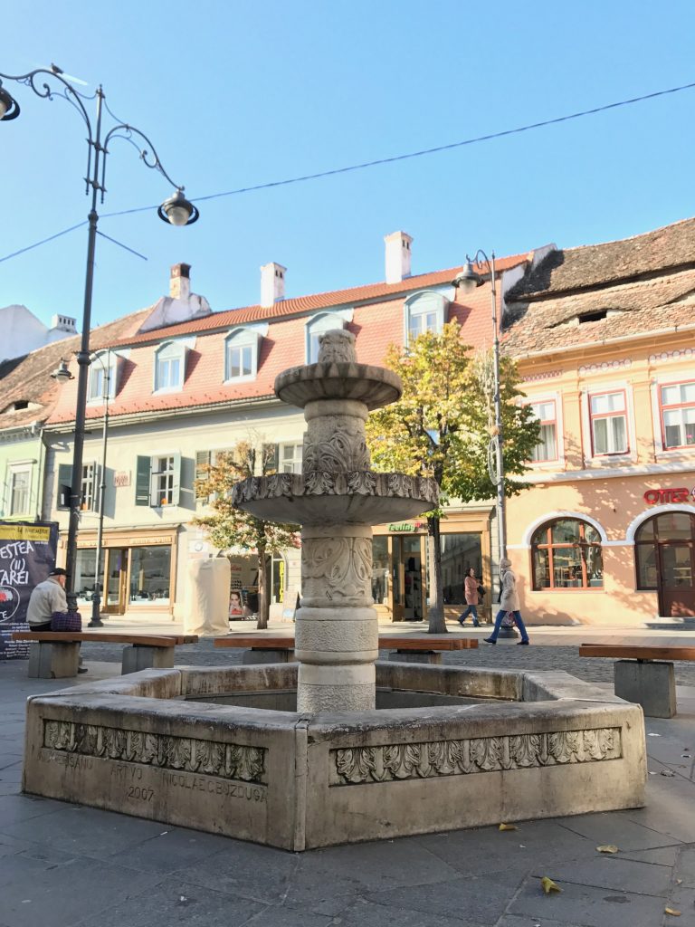 Bradul de Craciun ”altfel” – Concurs de idei, la Sibiu
