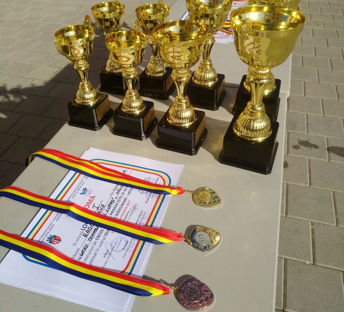 Olimpiada Mărginimii s-a desfășurat la Săliște