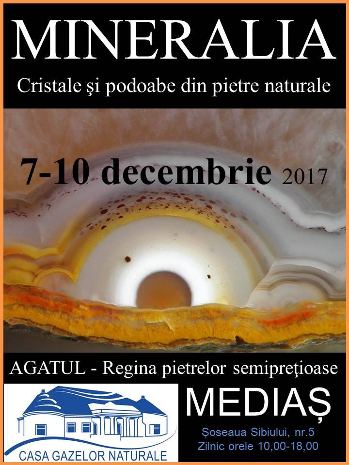 Minerale și bijuterii într-o expoziție deosebită